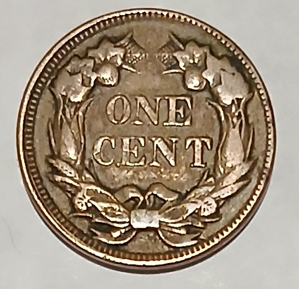 1857 FLYING EAGLE CENT (EXTRA FINE PLUS DETAILS) (YOU GRADE)