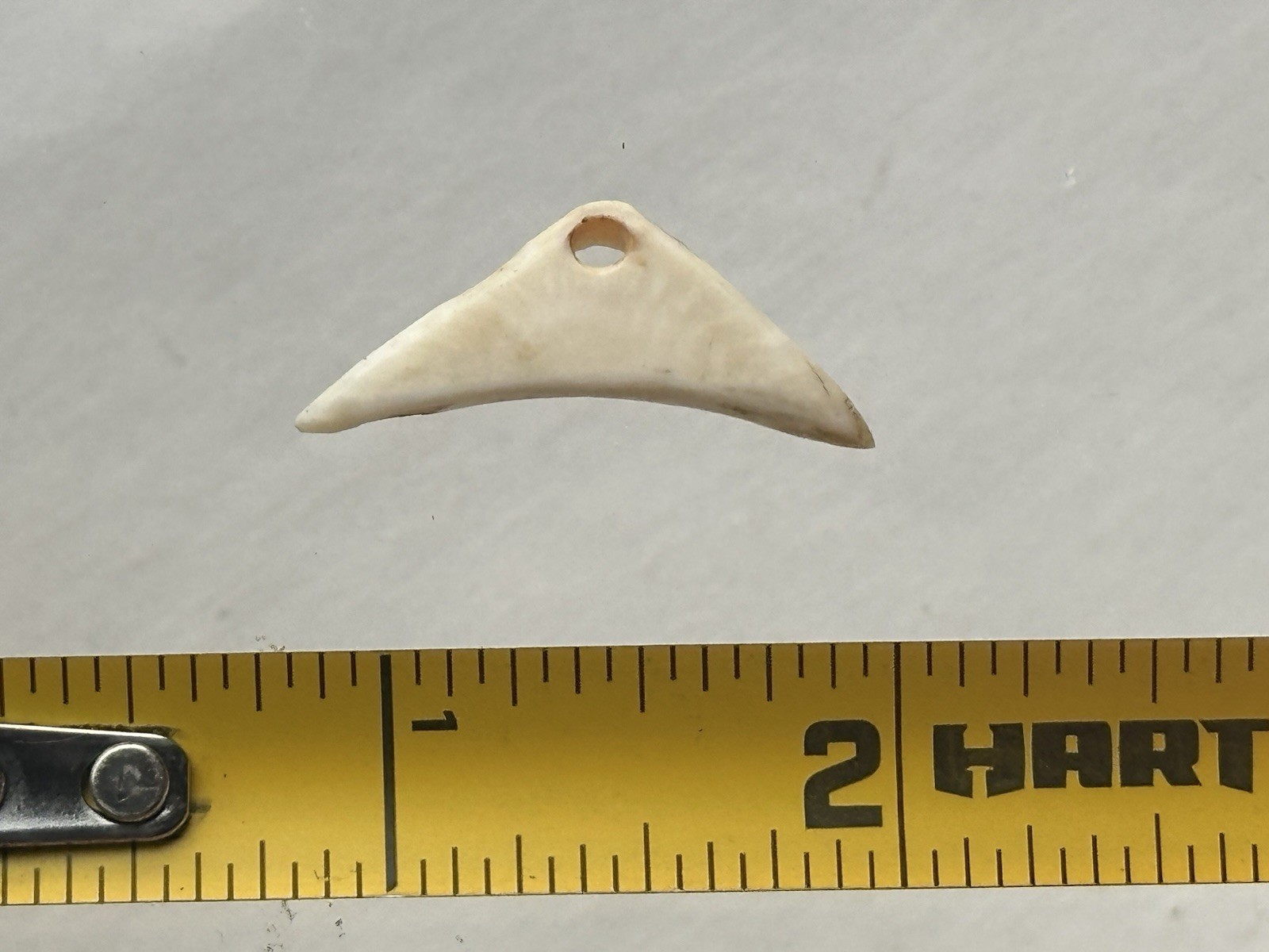 NICE ANASAZI HOHOKAM MIMBRES DRILLED SHELL PENDANT / GORGET FROM ARIZONA