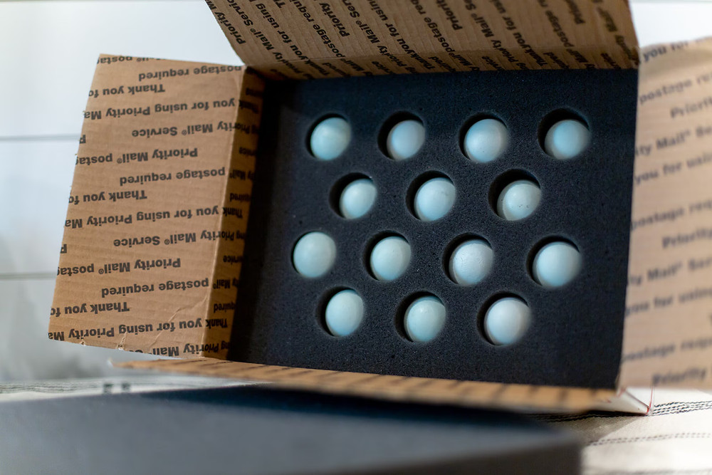 6 Plus Hatching Eggs