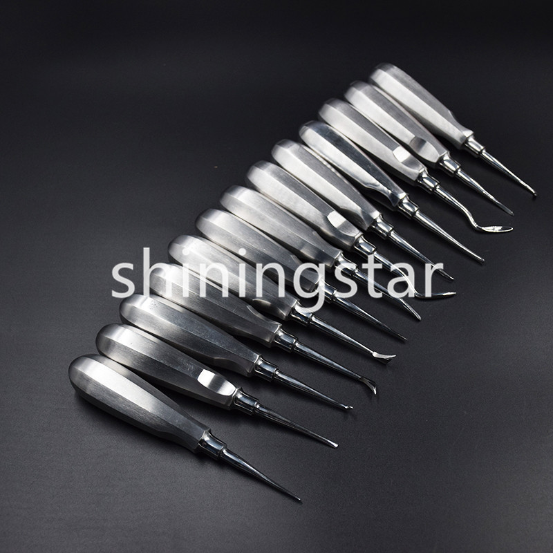 13 Pcs/set Dental Extraction Elevators Luxating Luxation Apical Root Autoclavabl