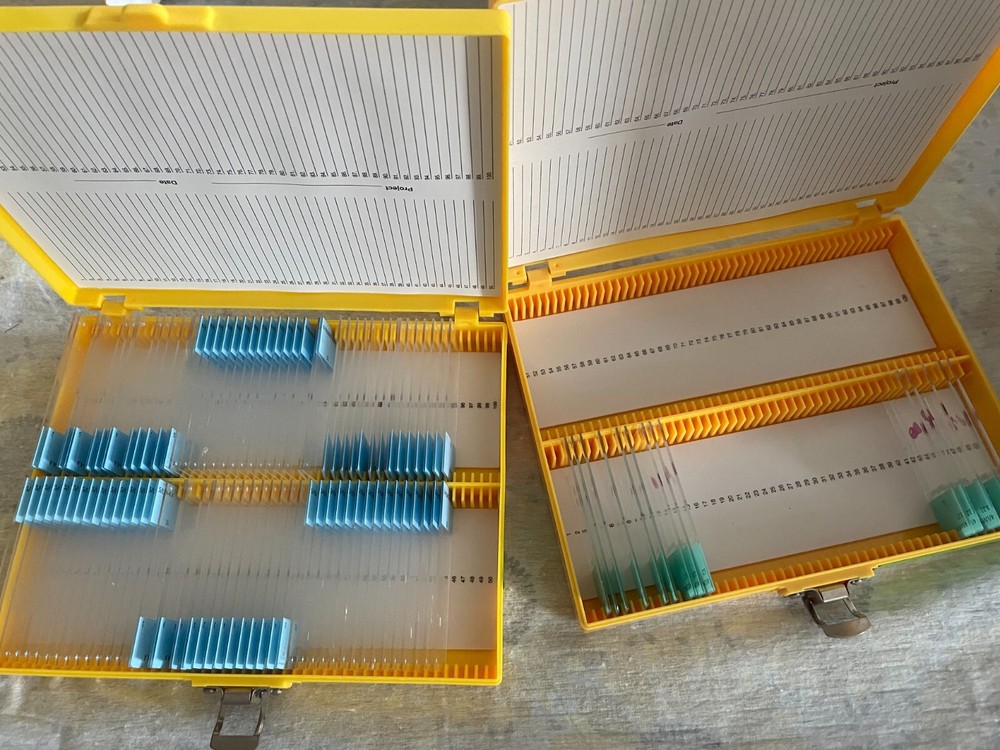 Two Microscope storage boxes with mouse tissues slides