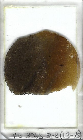 Thin-section Mount from DSDP Hole 396B Petrographic Microscope Slide 46-396B-8-2
