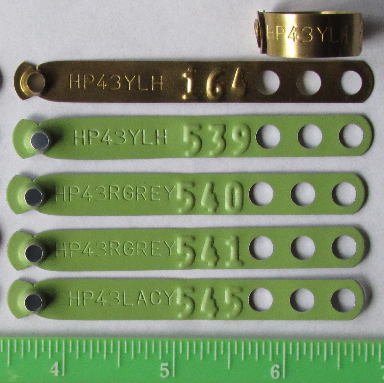 Leg Band Application Pliers (1pc) for Chicken Poultry Identification Leg Rings