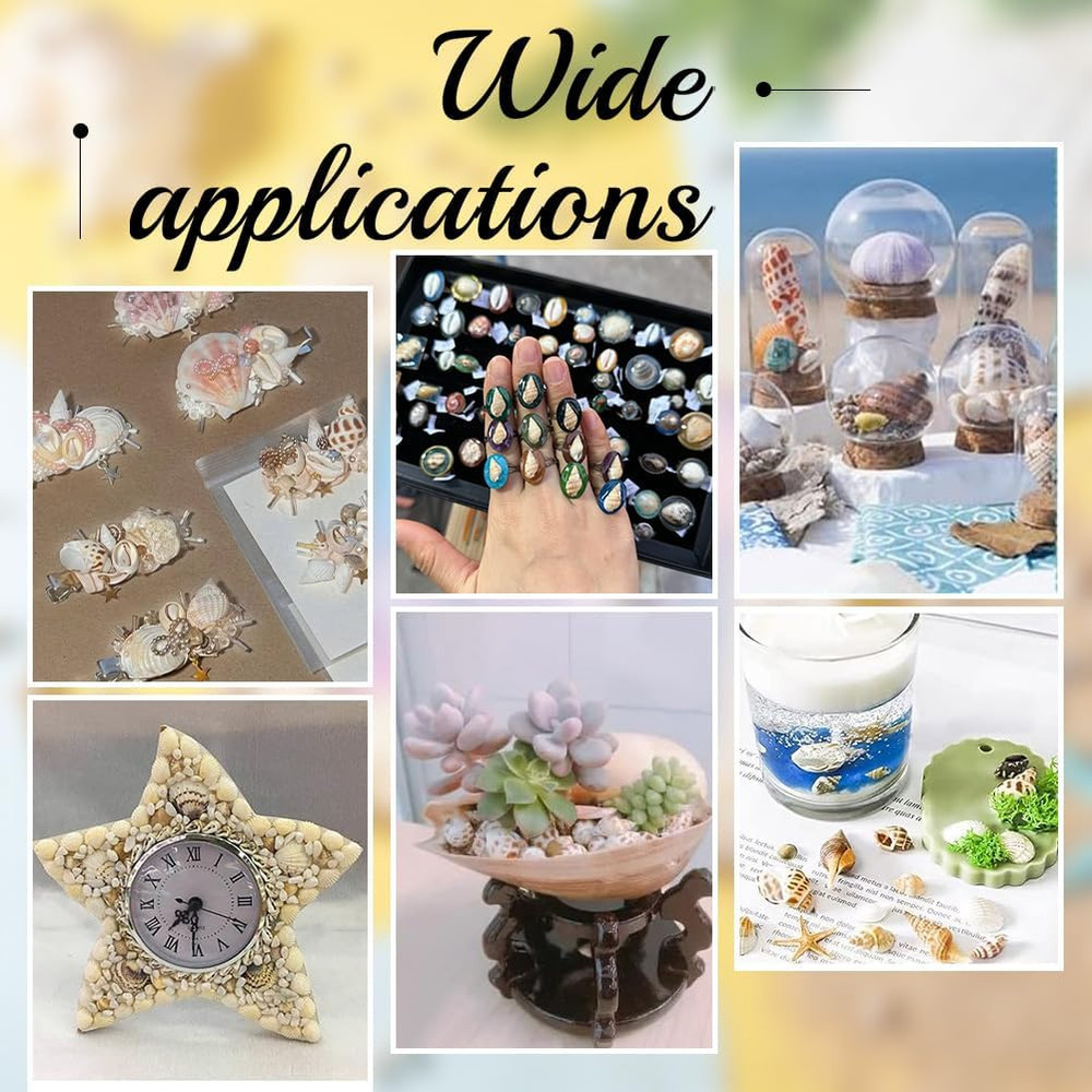 1400-1500Pcs Tiny Sea Shells 7-12Mm Tiny Crushed Shells Miniature Shell NO Hole