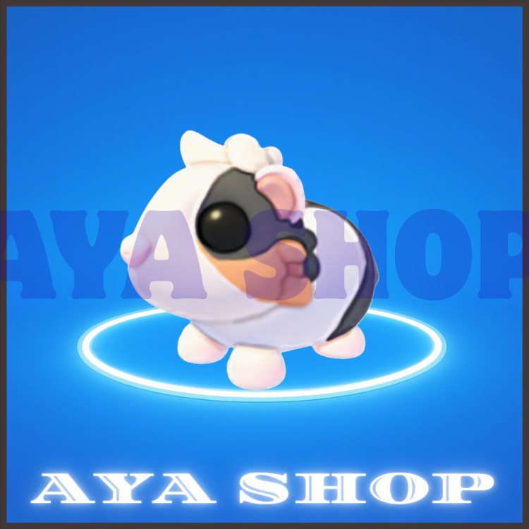 Tortoiseshell Guinea Pig – Fast & Easy Delivery