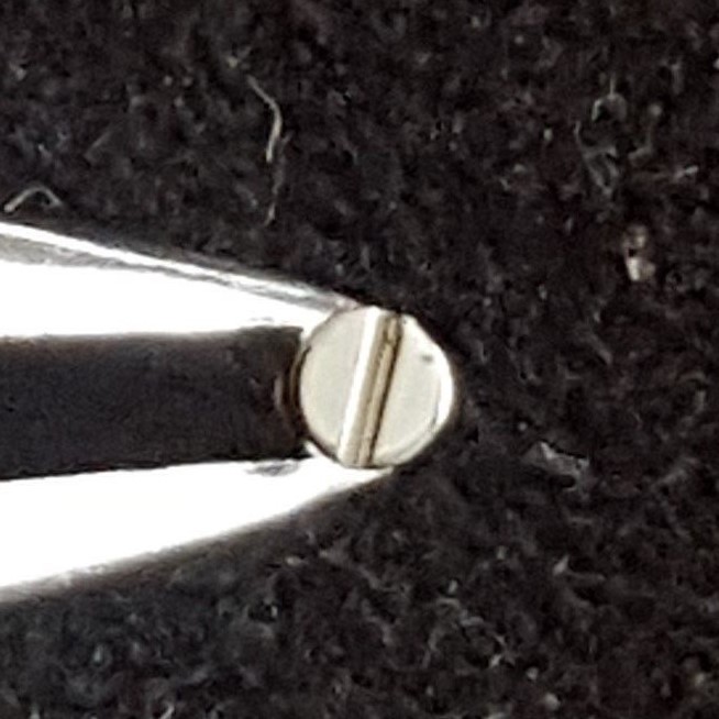 Omega Screw Part Number 2255
