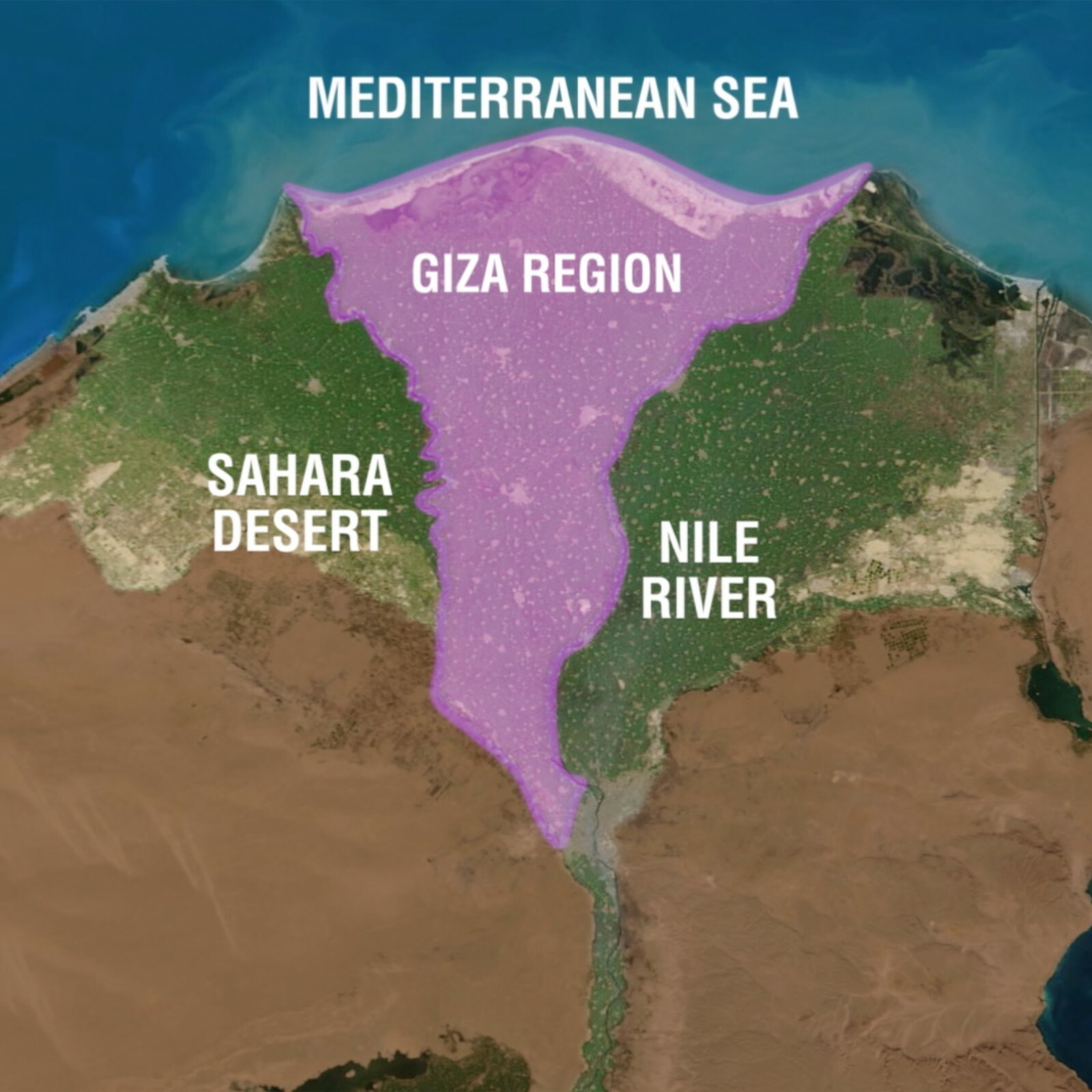 New My Pillow Bed Sheet Set 100% Certified Giza Egyptian Long Staple Cotton