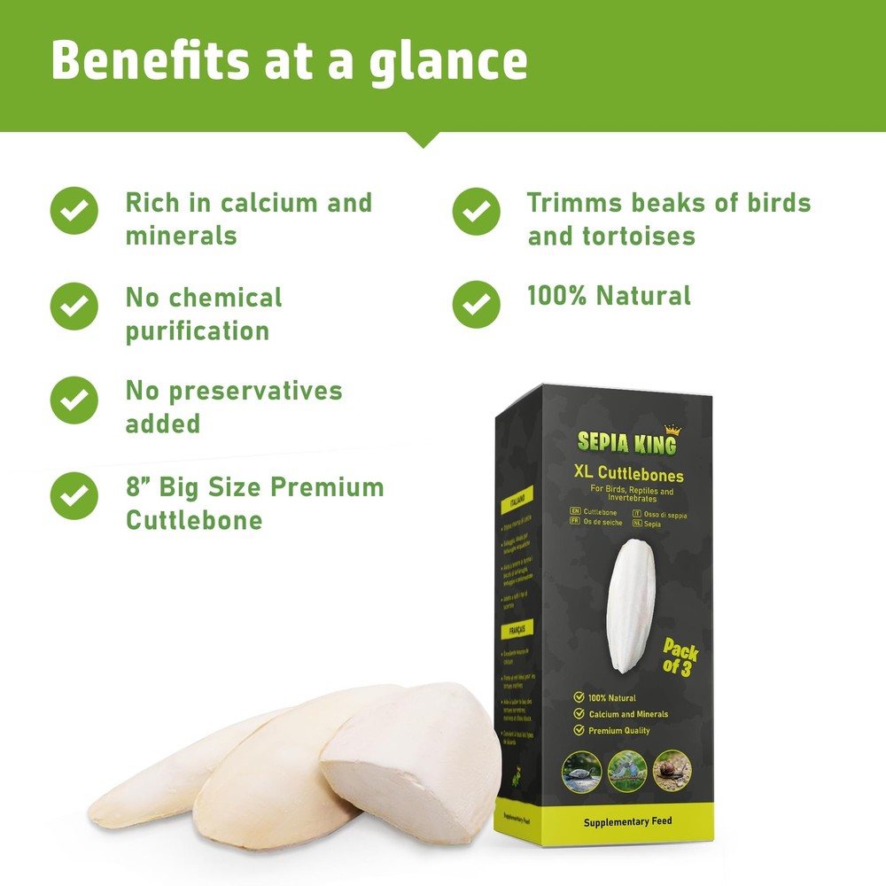 - Extra Large - 100% Natural Calcium Supplement - Premium Cuttlebone Perfect