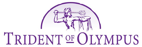 Polycom Communicator C100S Charcoal Gray