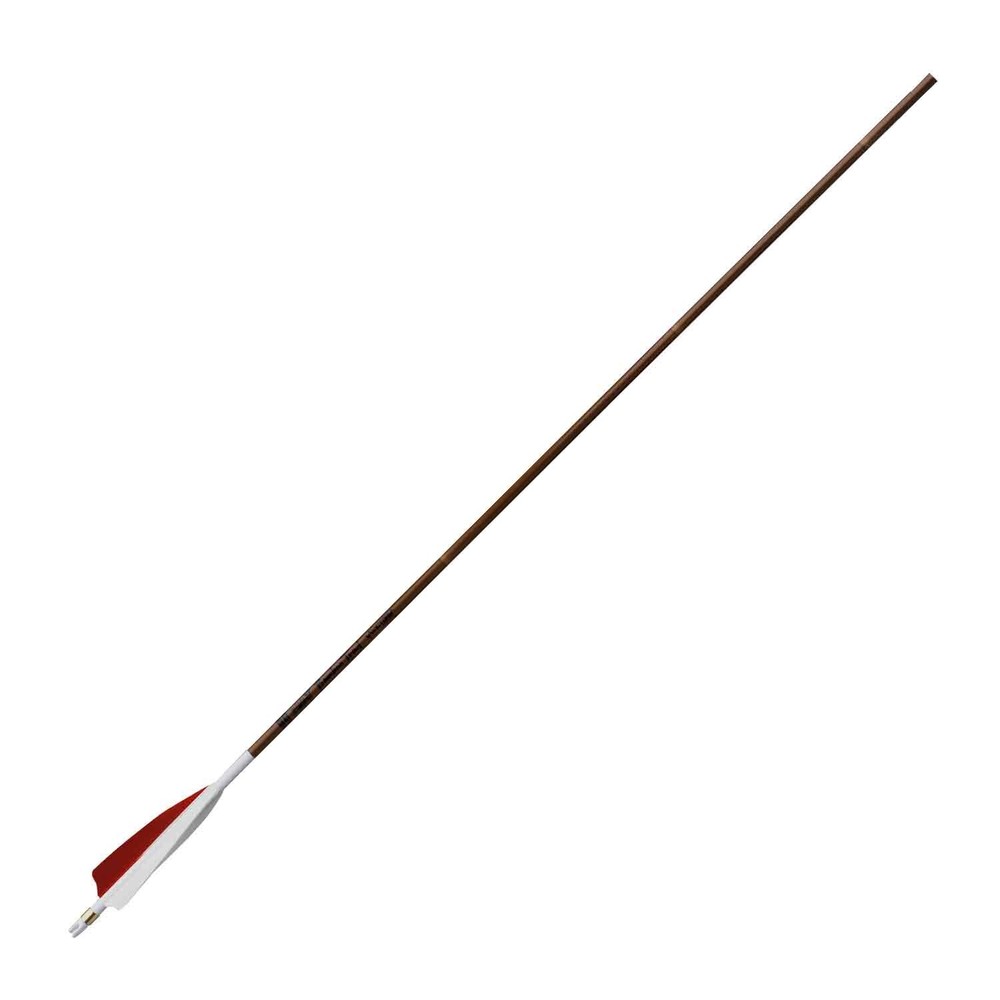 Victory Bamboo Trad Feather Fletched Arrows 500 Spine