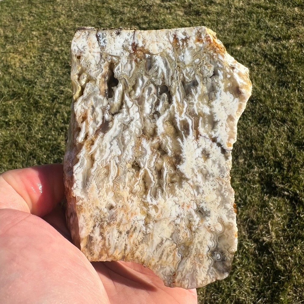 Stinking Water Plume Agate Rough Cut Specimen 452gm (R12)