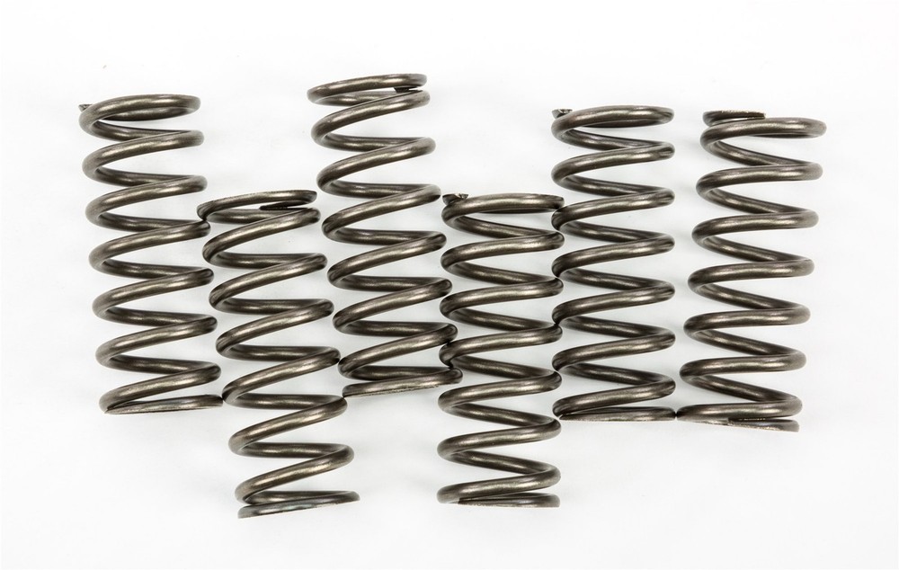 EBC CSK Clutch Spring Set (CSK221)