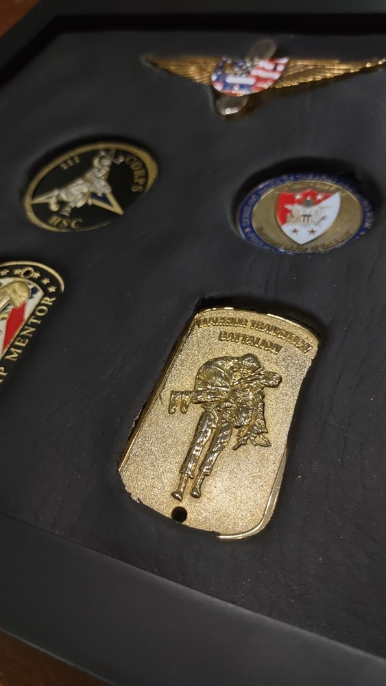 ARMY MEDAL WALL DISPLAY Real