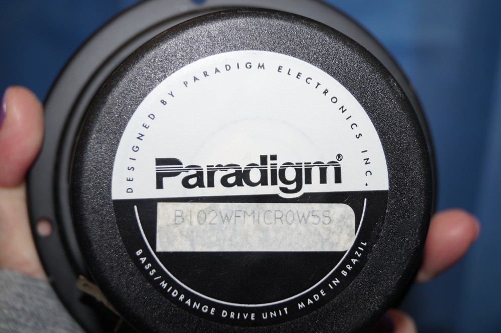 Paradigm Micro Woofer B102WFMICROW5S