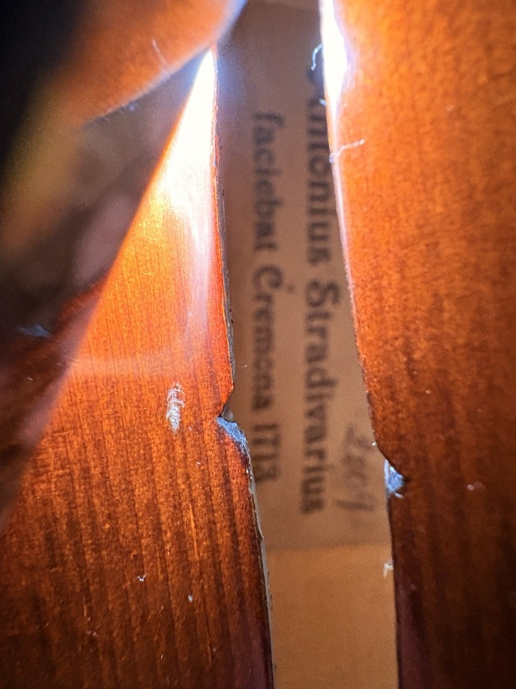 Voila Size 14 Student