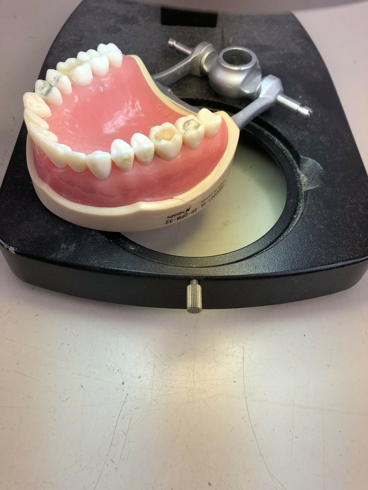 Wolfe Stereozoom with ring light illuminator & Wolfe HWF 10x Eyepieces