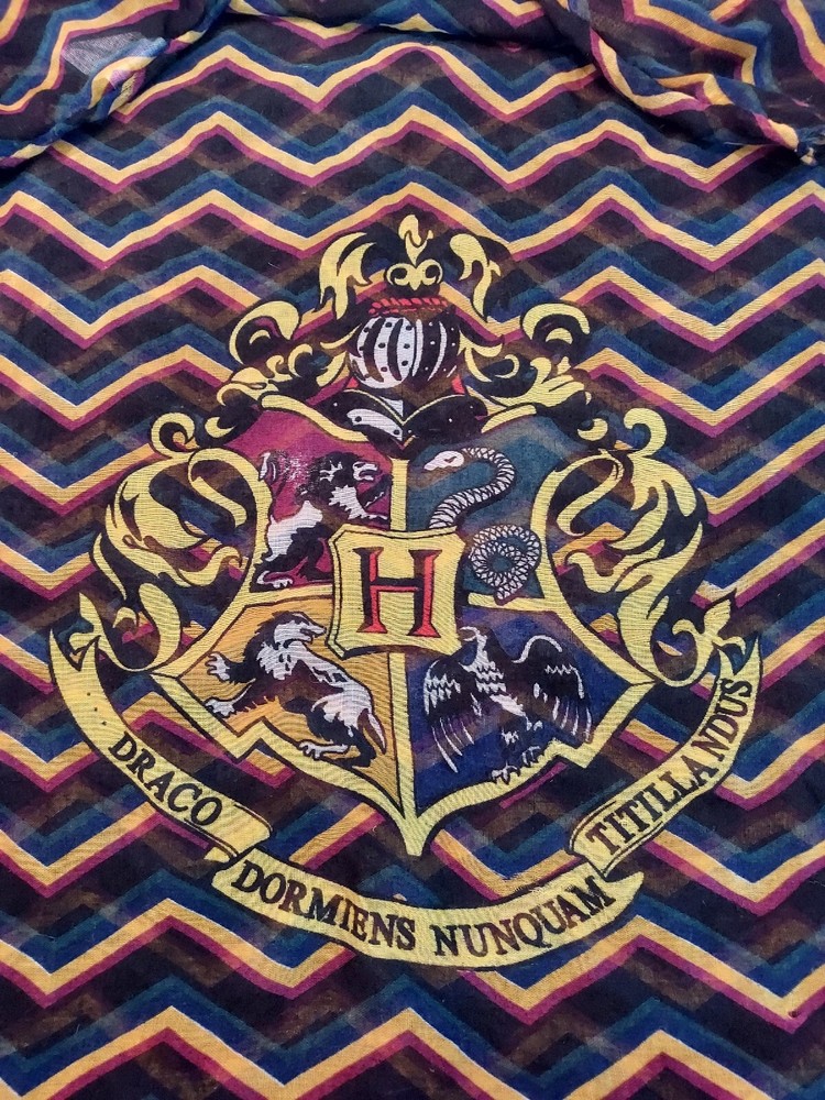 Harry Potter Infinity Scarf Draco Dormiens