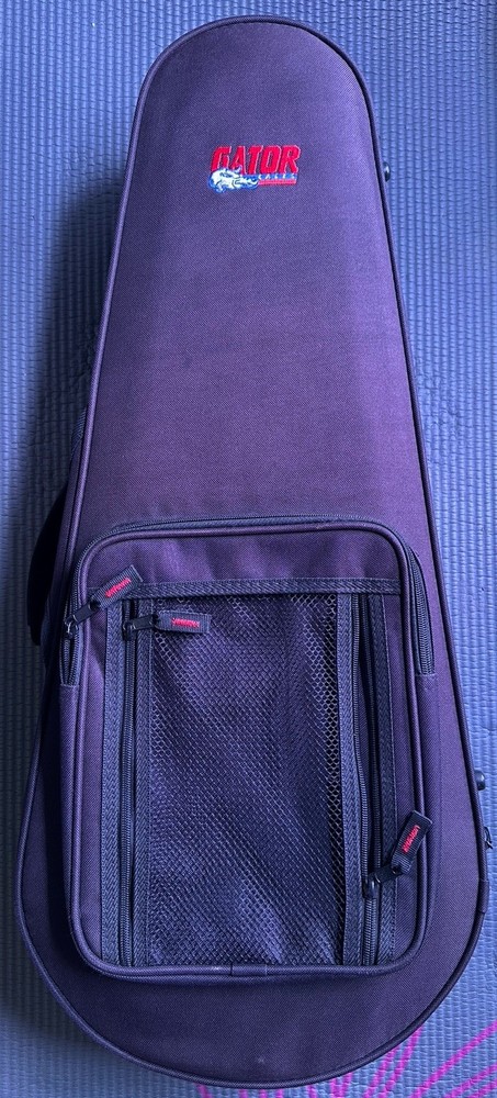 Gator Mandolin Case