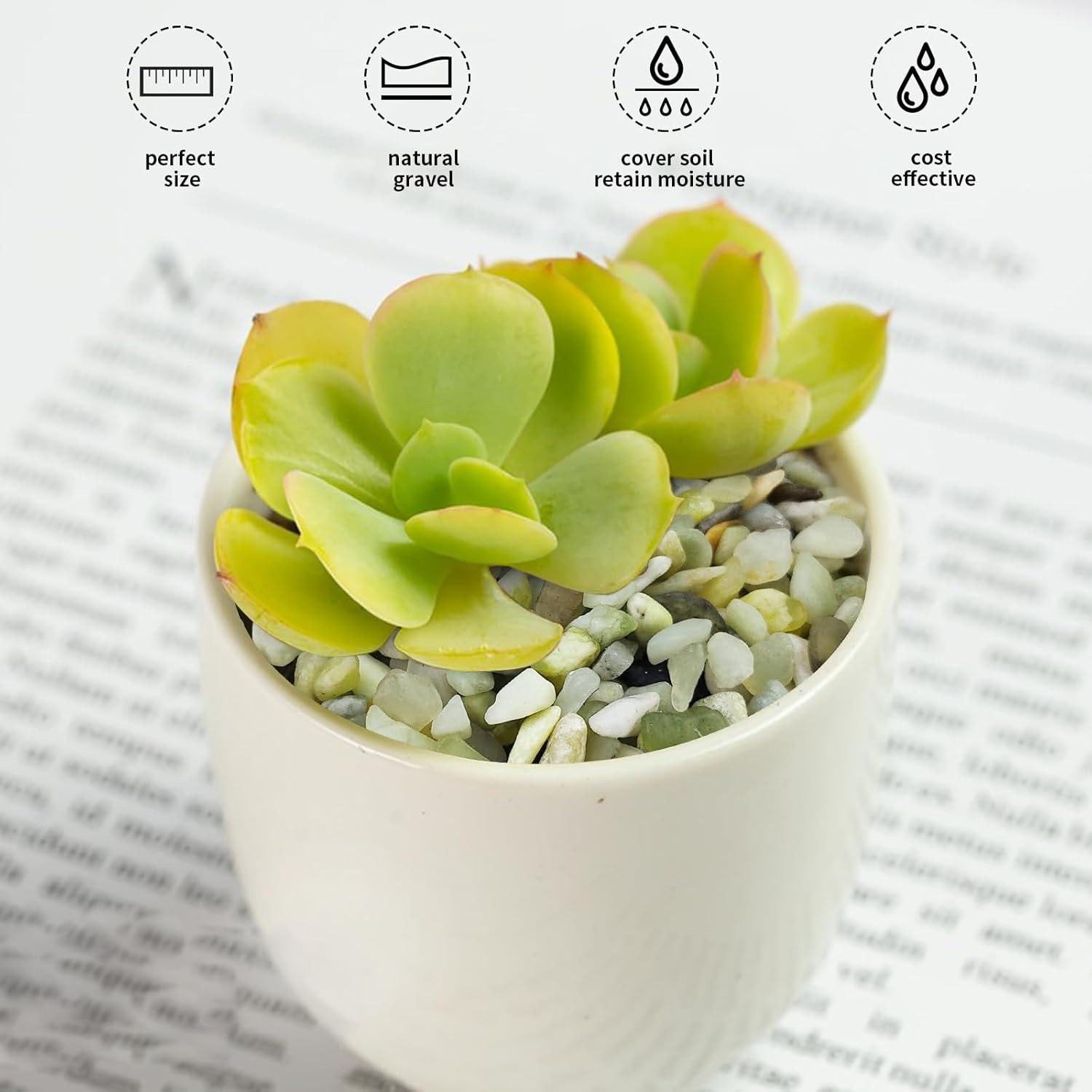 Jade Pebbles for Indoor Plants,1/4 Inch (3-6 MM) Polished Green Pea Gravel Small