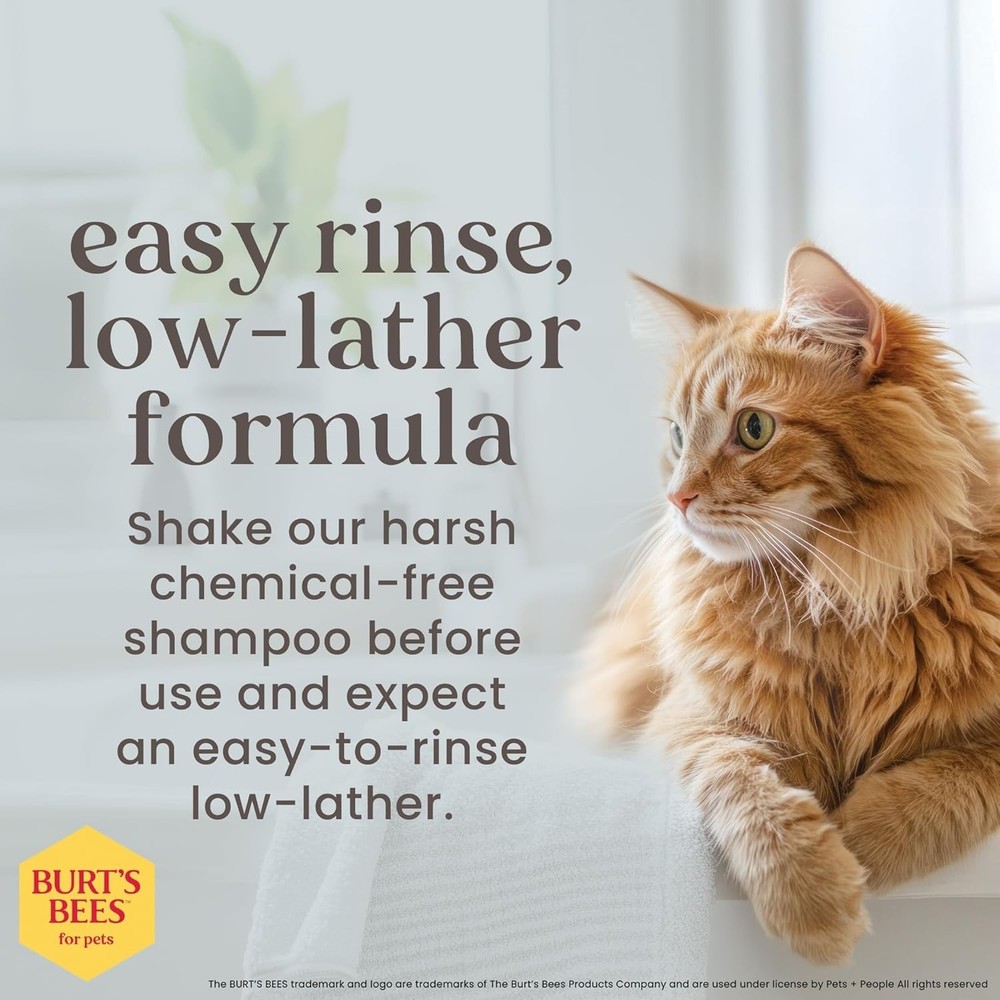 Unscented Kitten Shampoo - 10 Fl Oz Hypoallergenic Solution for Sensitive Skin