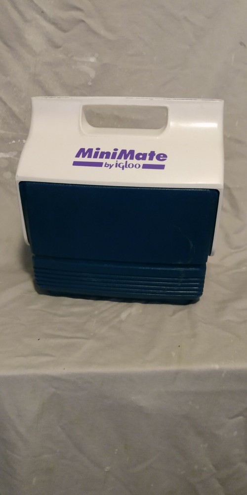 IGLOO MINI MATE COOLER JADE GREEN PURPLE