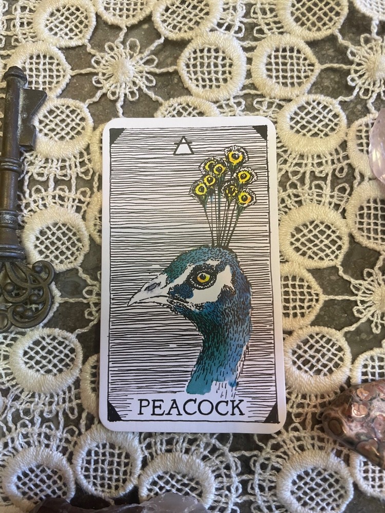 psychic tarot card reading Live