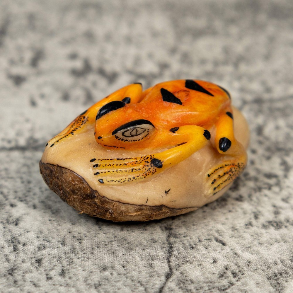 Orange And Black Frog Tagua Carving