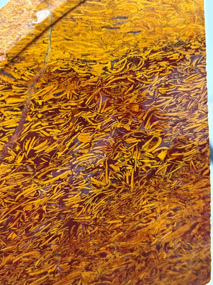 Script Stone Jasper Slab Cabbing Lapidary Collecting Combo Ship Avail