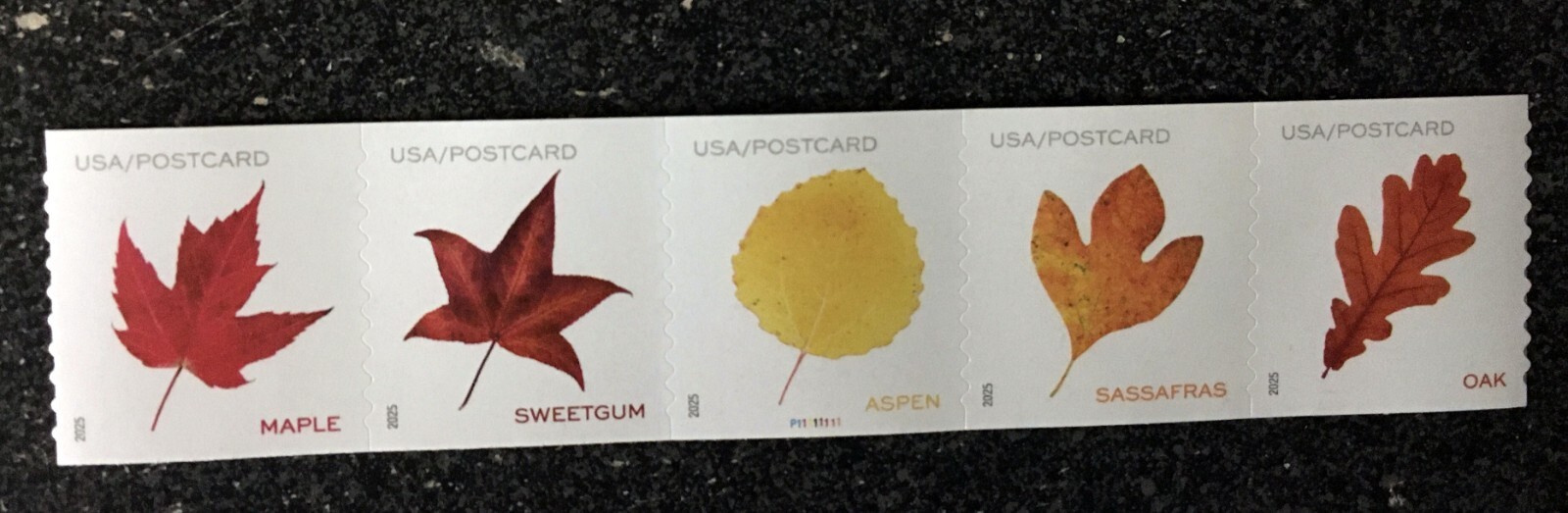 2025USA #5971-5975 Postcard Rate Vibrant Leaves - PNC Coil Strip of 5