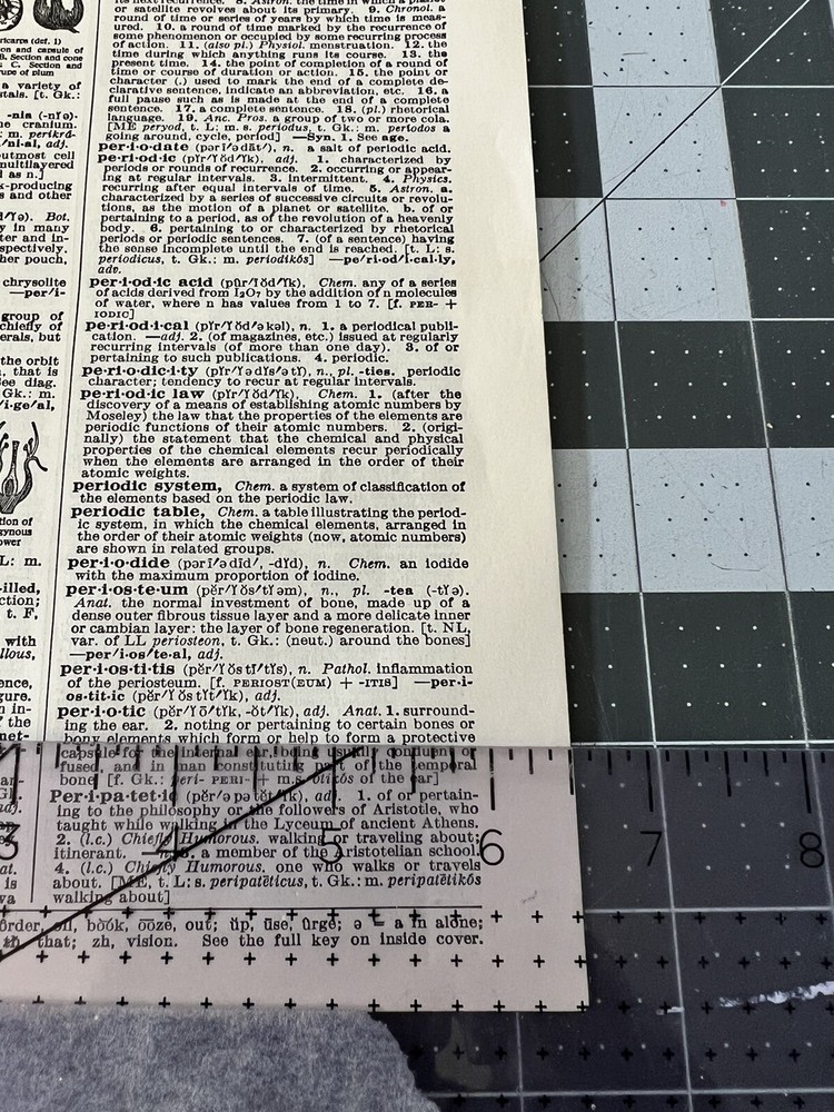 Salvaged Dictionary Pages