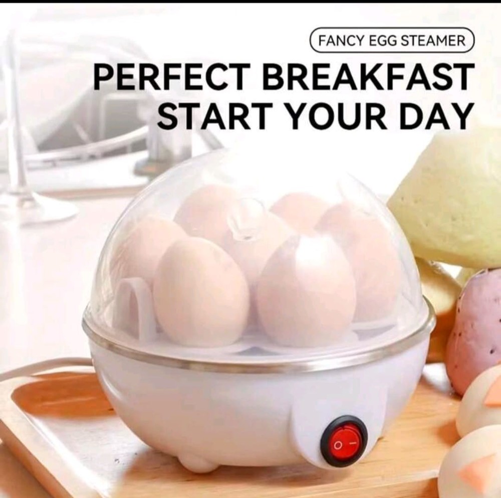 Eggs Steamer Mini. Electric Egg Cooker