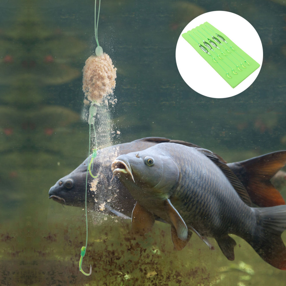5 Pcs Carp Hooks for Fishing Snap Lure Long-term Use Spring