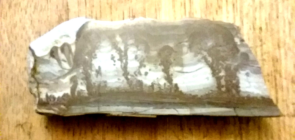 Stromatolite limestone, Cotham Marble or Landscape Marble, late Triassic