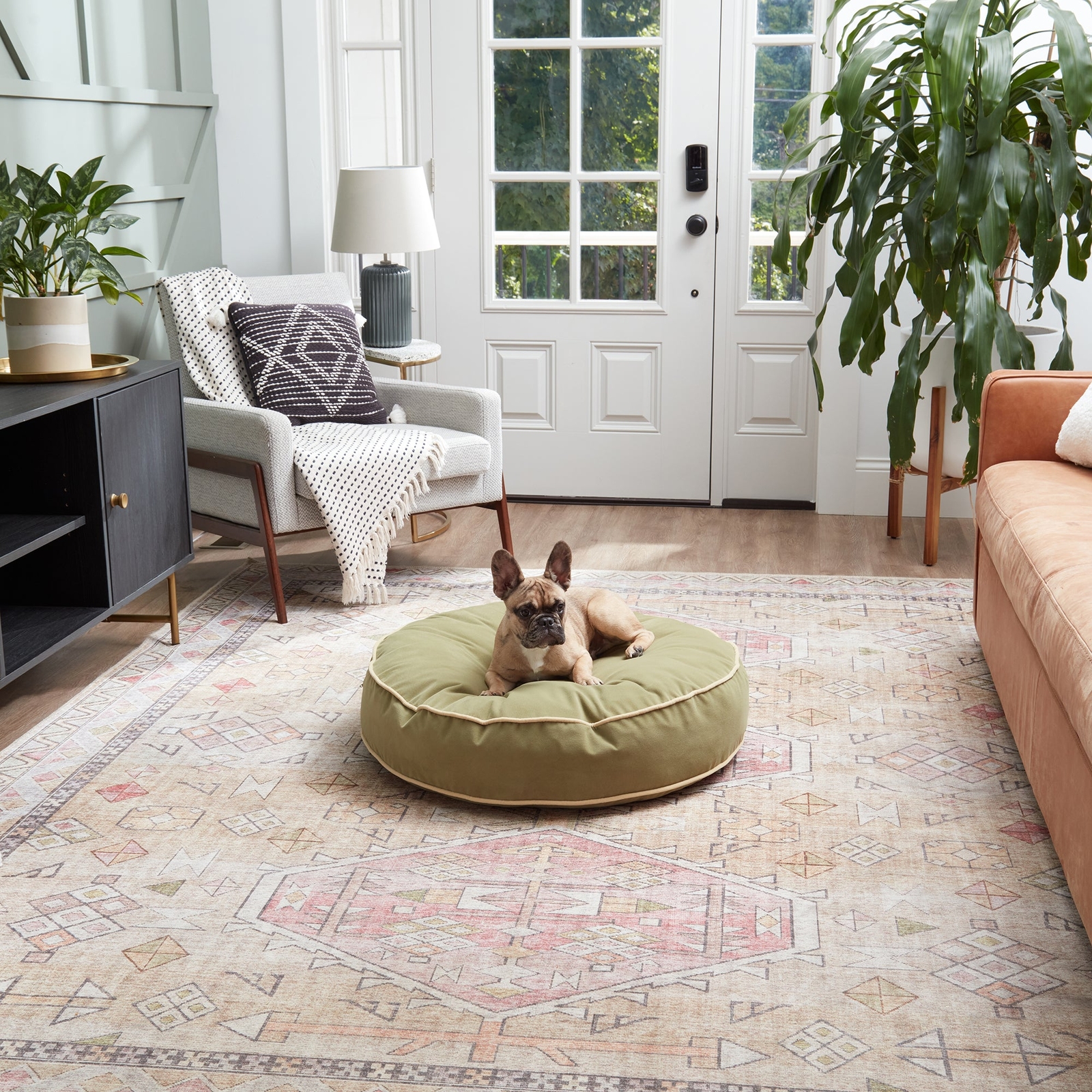 Scout Deluxe Round Microfiber Pillow Dog Bed