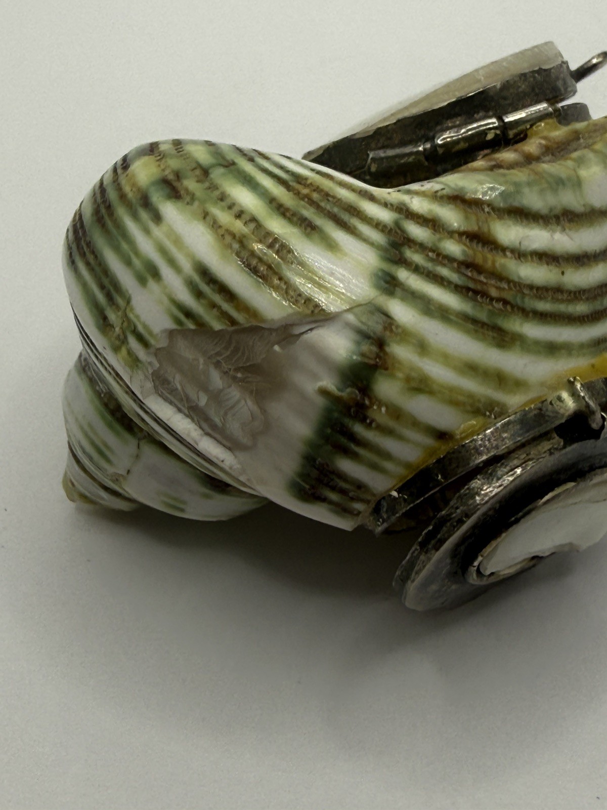 Antique Turbo Shell pill snuff box pendant needs repair