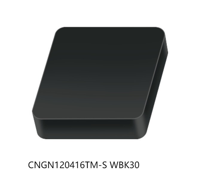 2PCS  ORIGINAL  INSERTS        CNGN120416TM-S WBK30