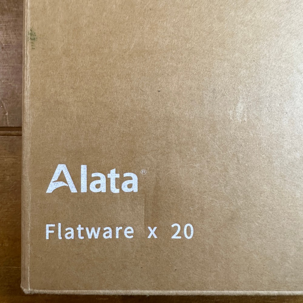 Alata Cube 20 Piece Matte Satin Stainless Steel Flatware Silverware Set