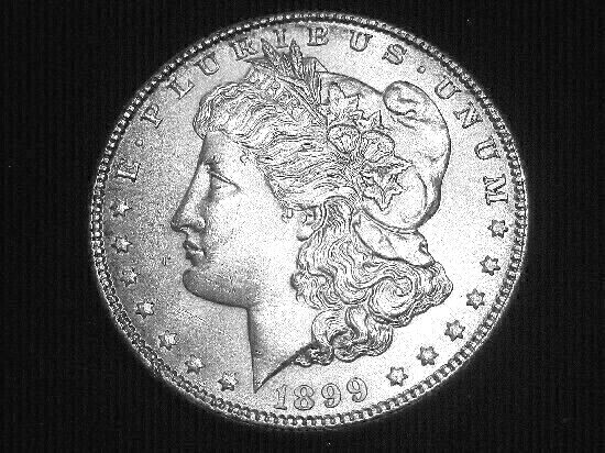 1899 Morgan Dollar --- Choice Uncirculated