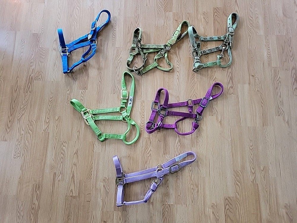 6 Various Brand Halters
