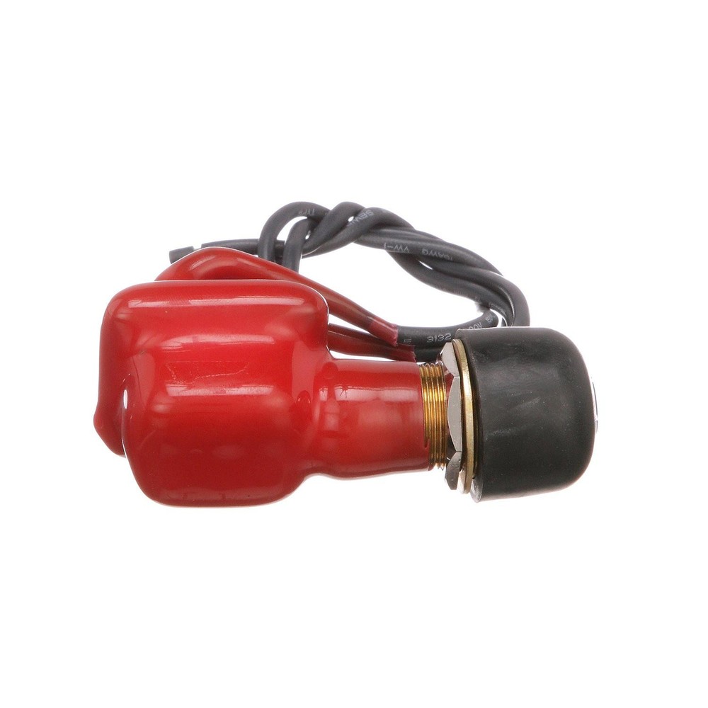 Seachoice 11761 2-Position Off/Momentarily On Push Button Switch, 6-36V