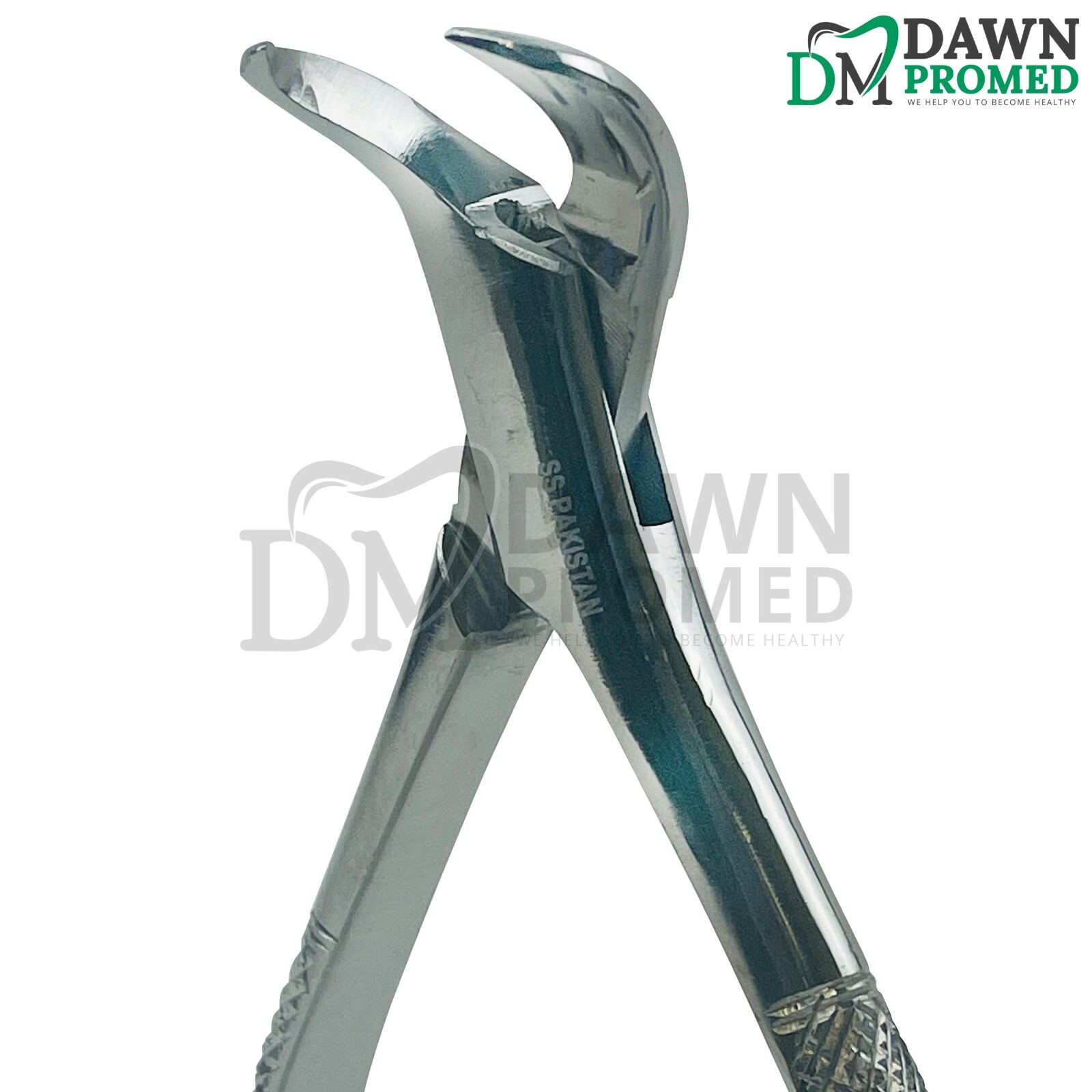 Dental Extracting Forceps #23 For lower molars Cow Horn Dental Surgical