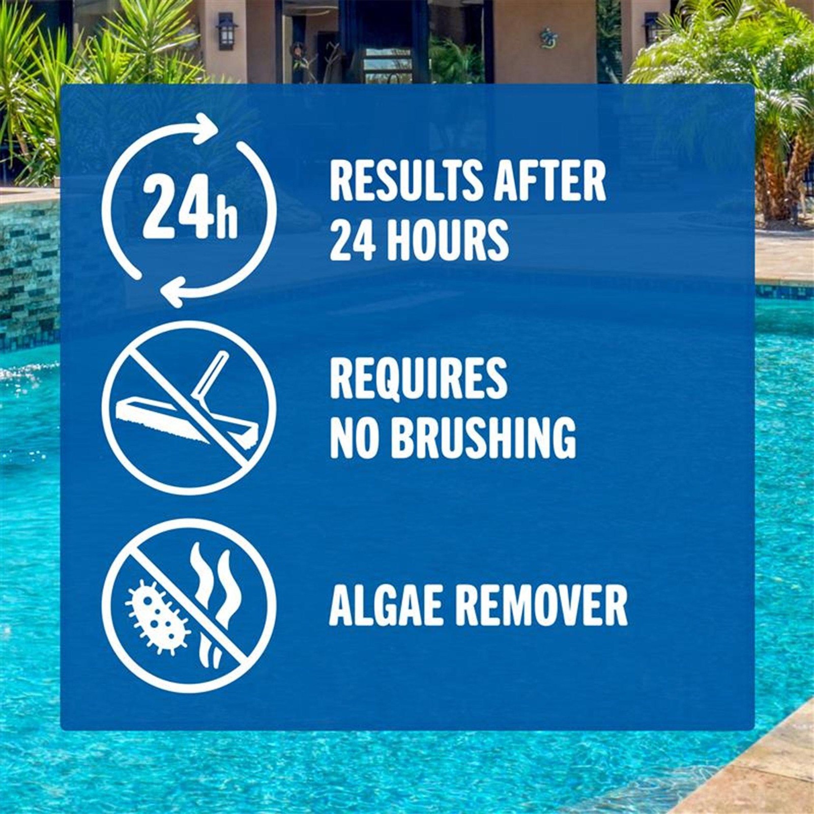 Coral Seas Green to Clean Algae Cleanup