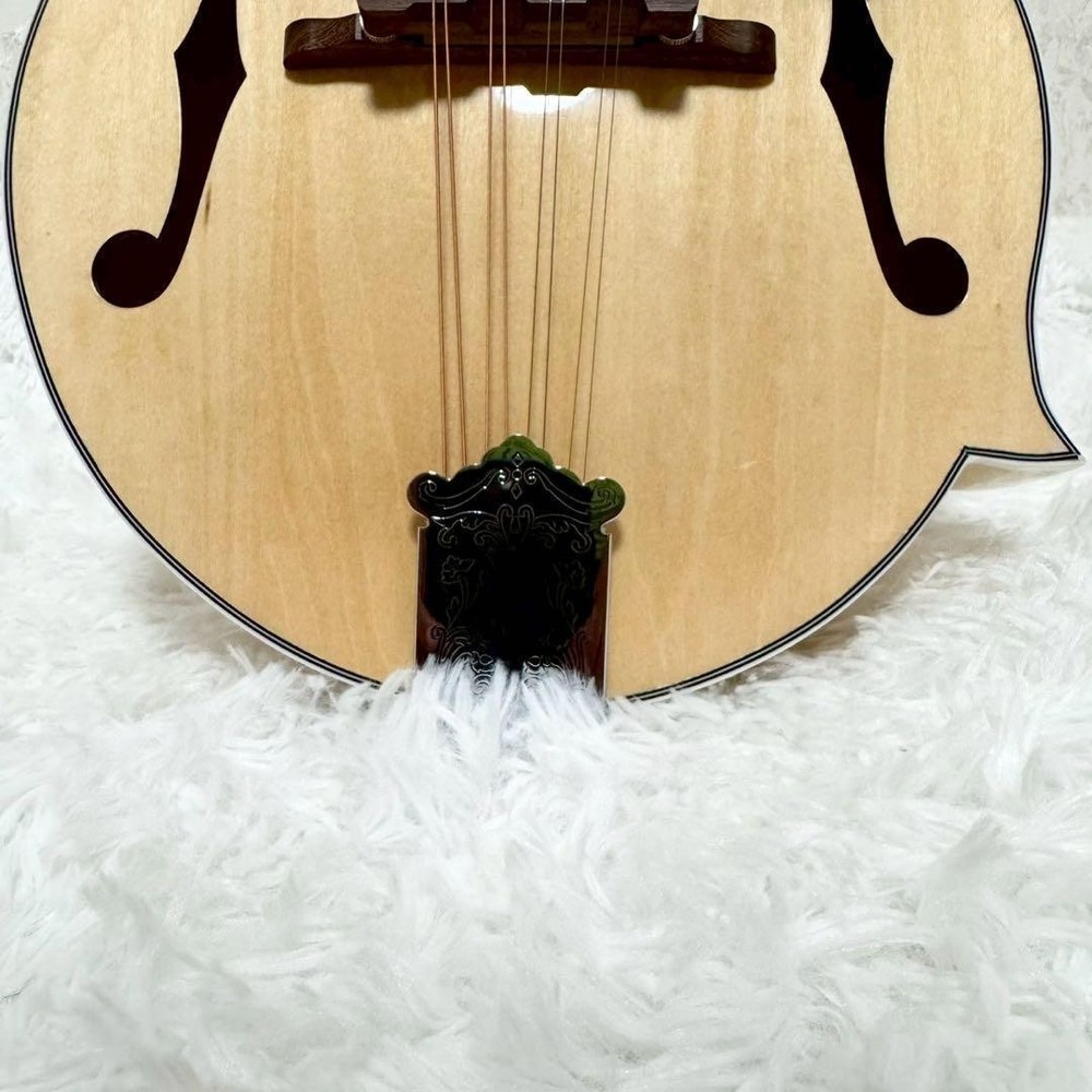 [Rare item] MYLOWE flat mandolin with hard case