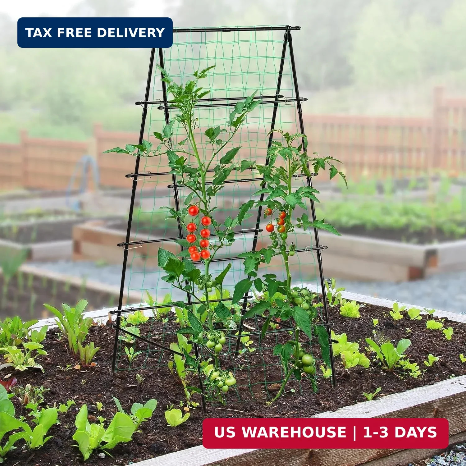 Garden Trellis for Climbing Plants, 71" H x 32" W Metal A-Frame Cucumber Trellis