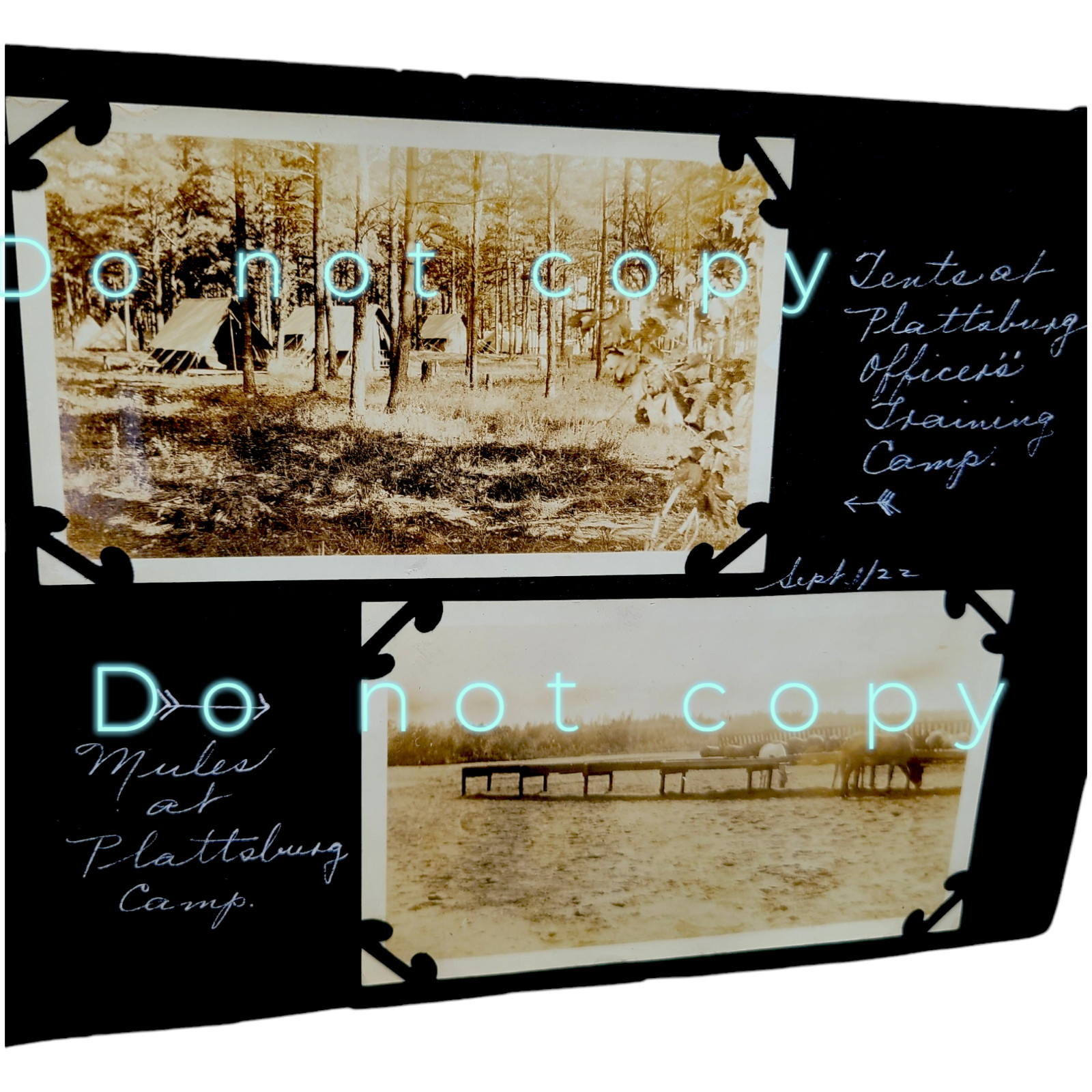 1920 Vintage Plattsburgh NY OFFICER's CAMP ORIGINAL Photo Lot Tents Mules