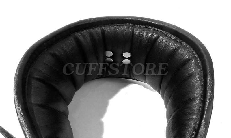 Adjustable Size Deluxe Padded Black Leather Posture Collar