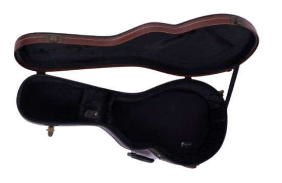 Brand New Durable Hard Case For Mandolin Lockable with Key