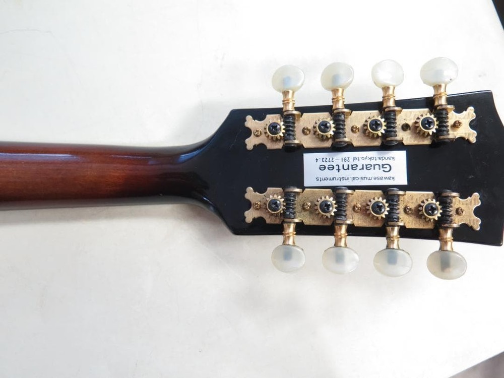 Jumbo Mandolin JM-50
