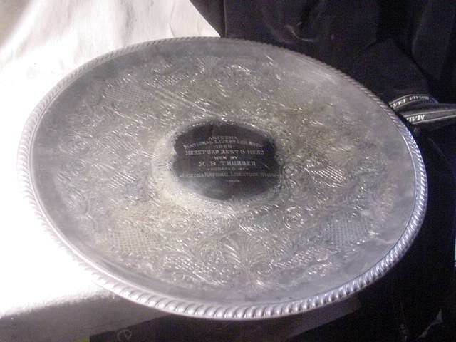 Arizona national livestock show Hereford cow cattte trophy 1966 Herald B Thurber