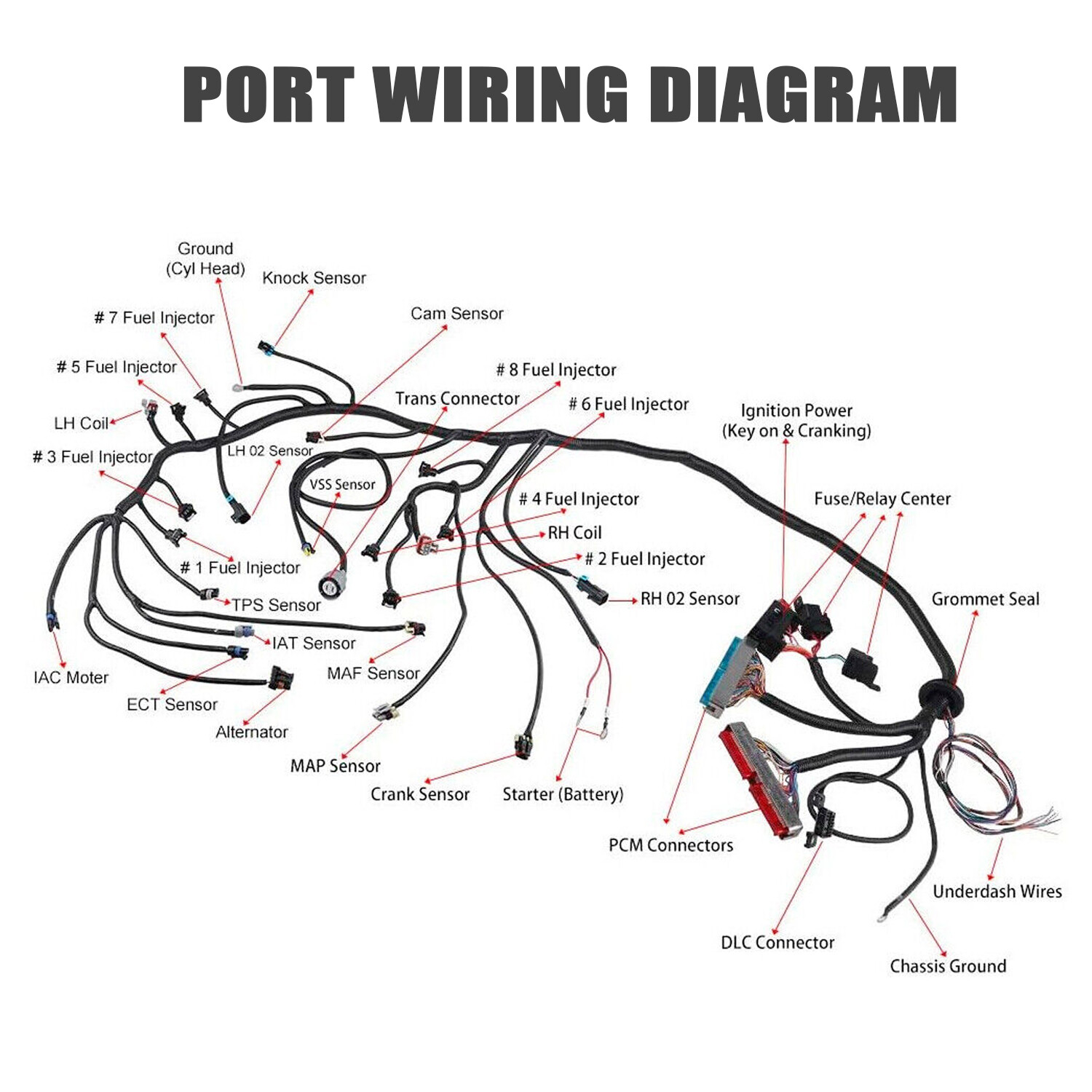 LS1-4L60E Wiring Harness Stand Alone For 1999-2006 LS SWAPS DBC 4.8 5.3 6.0